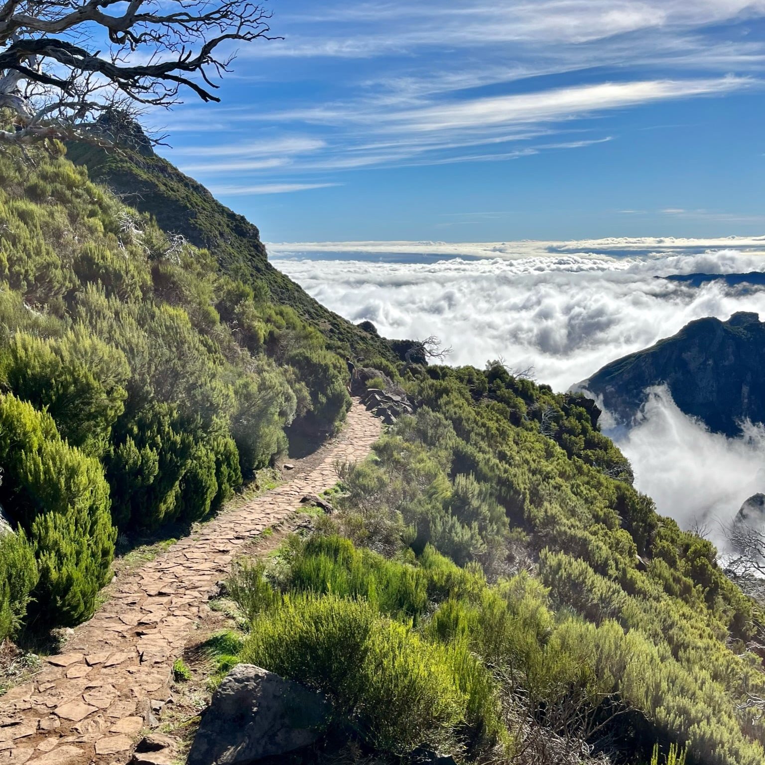 Fora_blog_Madeira_PR1_3