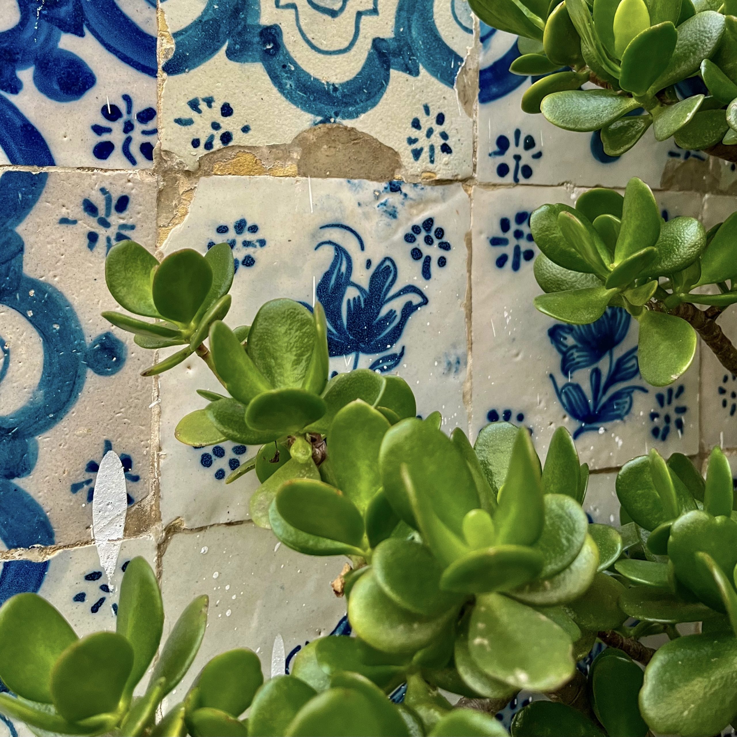 Obidos tegels